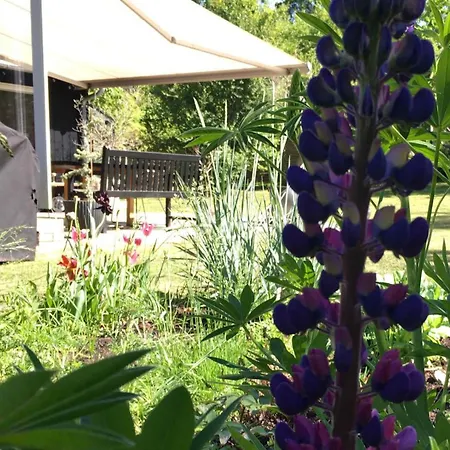 펜션 Charming Family Summer House In Hollselund Vejby